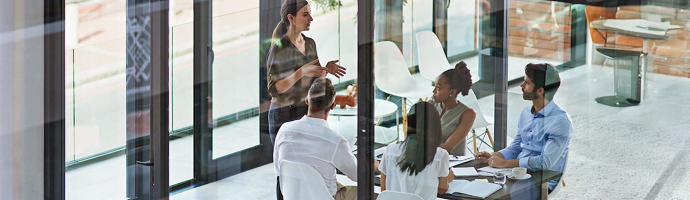 Lady explaining to colleagues