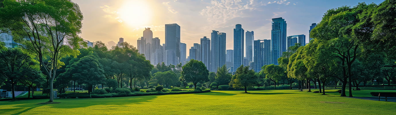 a skyline view from a park
