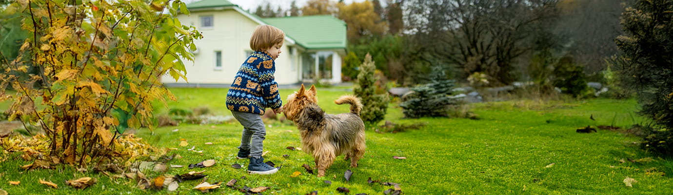 a small child with a dog in a field