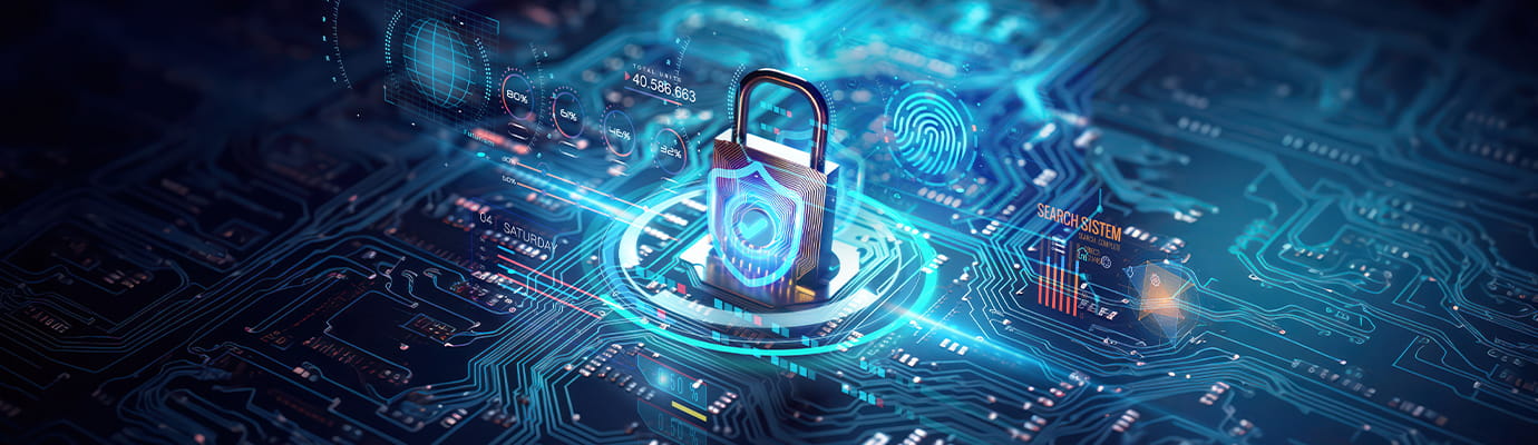 Lock with fingerprints and security image