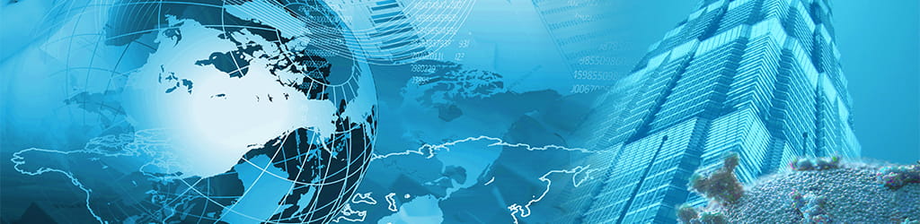 THE COVID-19 PANDEMIC AND COMPLICATIONS AROUND THE TELEWORKING MODEL